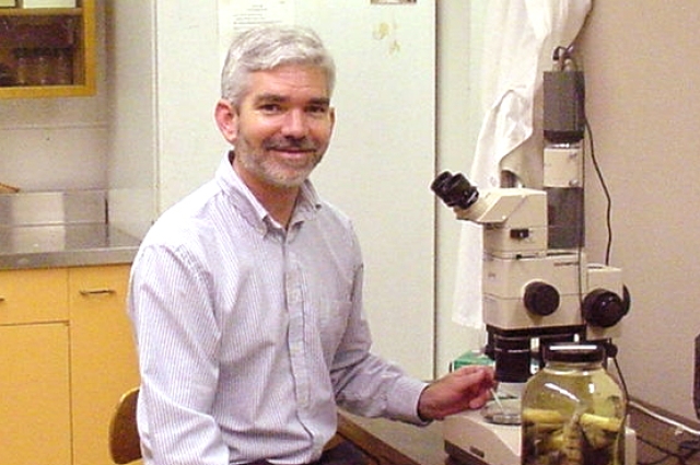 Randal J. Snyder, Ph.D.