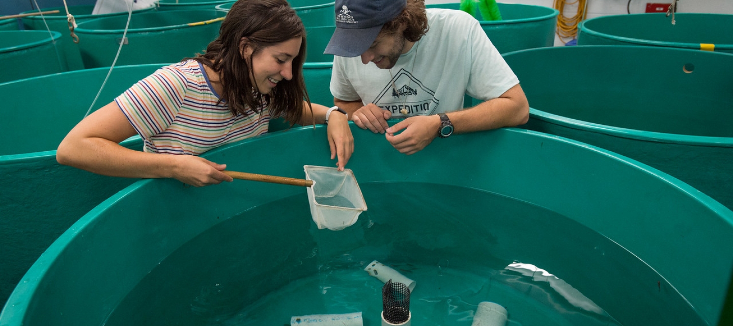 Students conduct research at Buffalo State's Great Lakes Center
